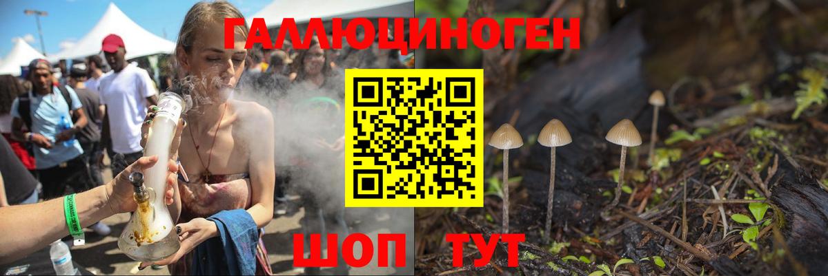 Галлюциногенные грибы Magic Shrooms  Вход с VPN  Киров  Галлюциногенные грибы Magic Shrooms 